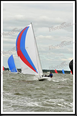 proof_2010_EScows_A 744