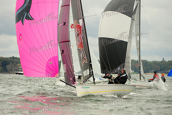 2014 HPDO A 1713