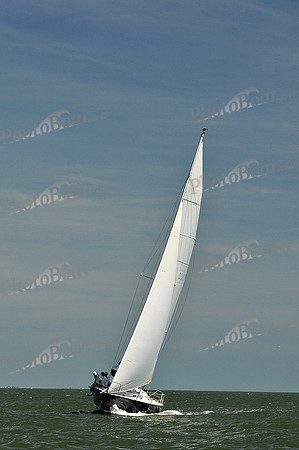 2013 Southern Bay Race Week D 489