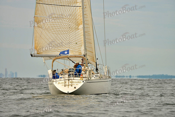 2017 Vineyard Race B_0080