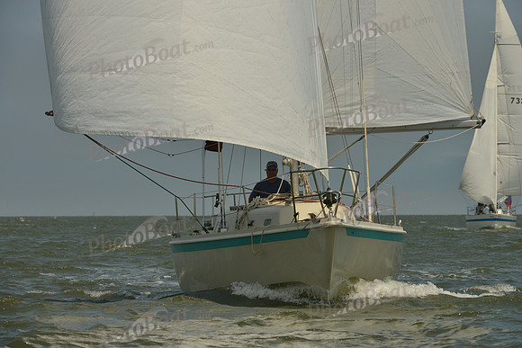 2016 Southern Bay Race Week B_0214