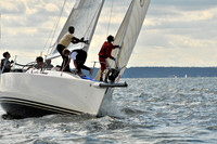 2010 IRC LIS 560
