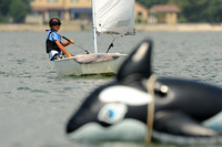 2012 Opti Green Fleet 152