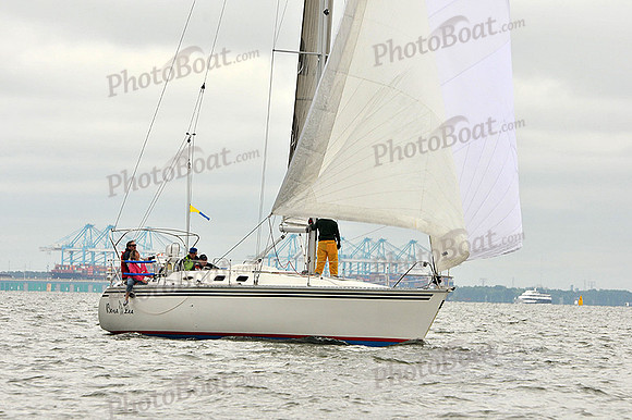 2014 Southern Bay Race Week A 921