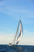 2014 Vineyard Race A 1971