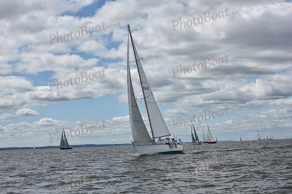 2021 Vineyard Race A 0268