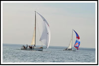 proof_2010 Block Island Race 598