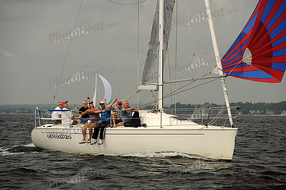 2013 Vineyard Race A 214