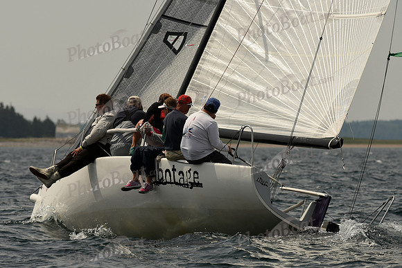 2016 Chester Race Week C 301