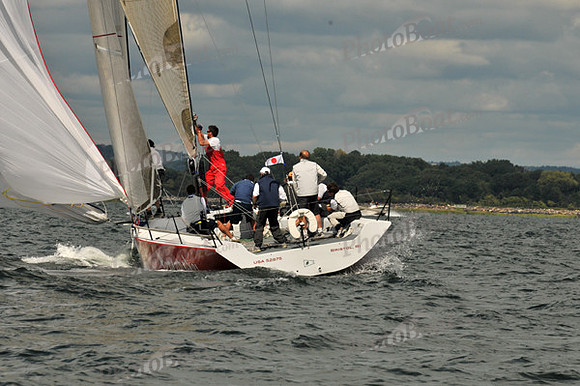 2010 IRC LIS 294