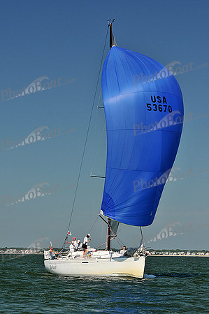 2013 Southern Bay Race Week C 499