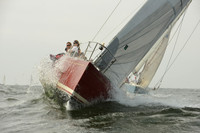 2015 Vineyard Race A 264