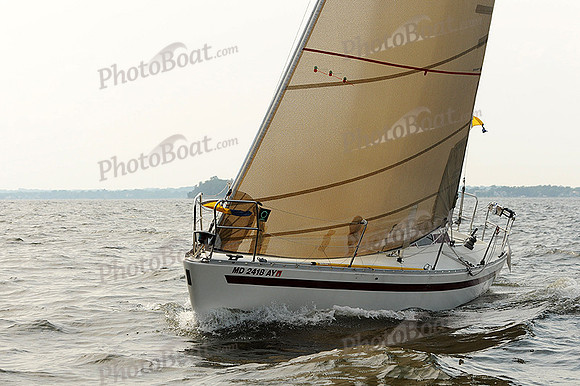 2012 Gov Cup A 532
