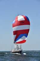 2019 Vineyard Race A_1882
