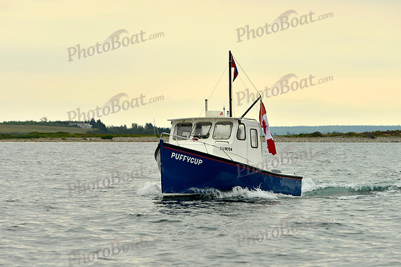 2016 Chester Race Week E_0212