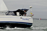 2009 J105 NAs D 1245