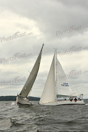 2018 Vineyard Race A_0768