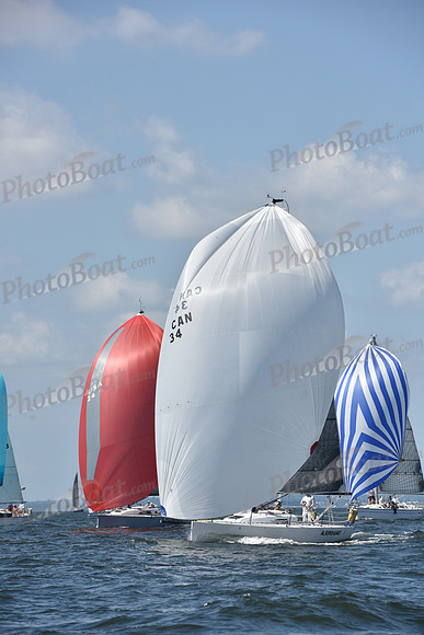 2020 Vineyard Race A_0263