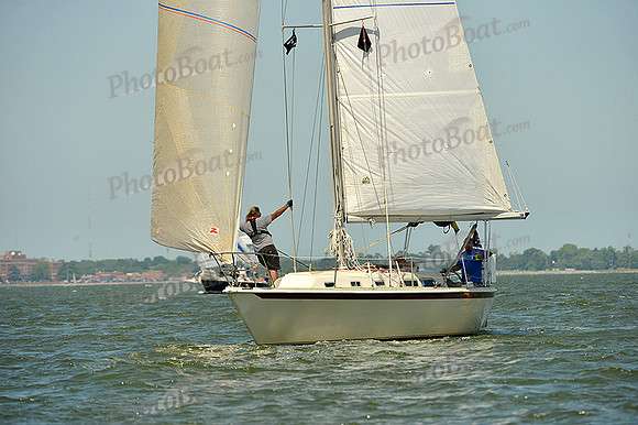 2015 Southern Bay Race Week A 1539