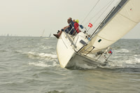 2015 Vineyard Race A 1176