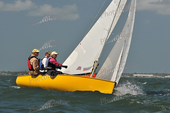 2012 Thistle Midwinters C 307
