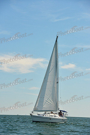 2015 Cape Charles Cup A 1293