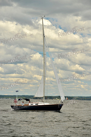 2016 Vineyard Race A_0760