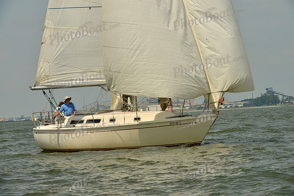 2016 Southern Bay Race Week F_0373