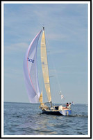 proof_2010 Block Island Race 455