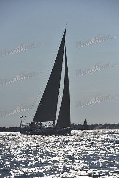 2021 Vineyard Race B 2345