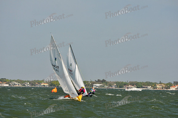 2012 Thistle Midwinters B 501