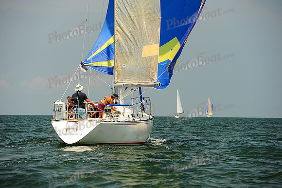 2014 Cape Charles Cup A 942