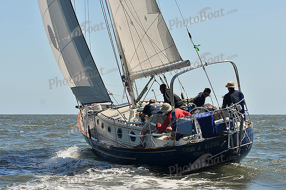 2014 Southern Bay Race Week D 432