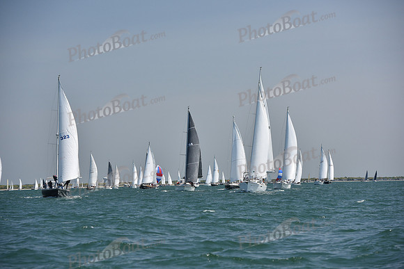 2019 Figawi_0618
