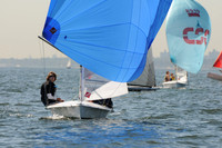 2011 HPDO A 791