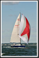 proof_2010_Vineyard_Race_1220