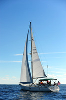 2014 Vineyard Race A 333