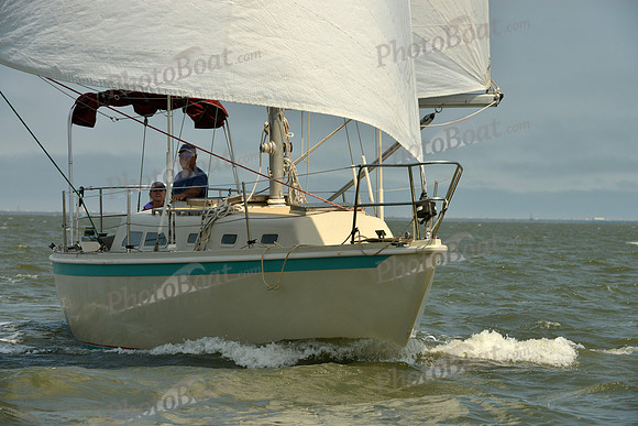 2016 Southern Bay Race Week B_0217