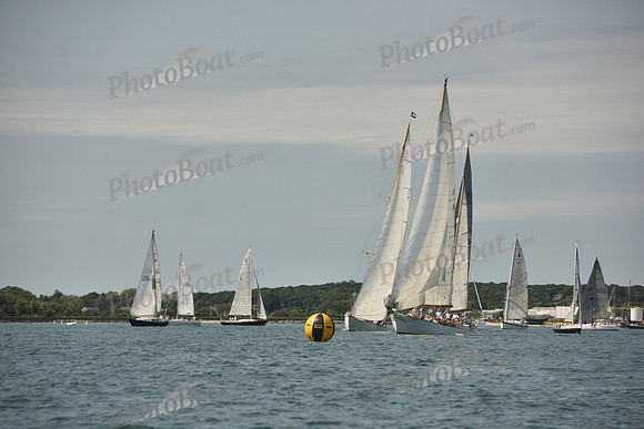 2018 Vineyard Cup A_0005
