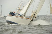 2015 Vineyard Race A 105