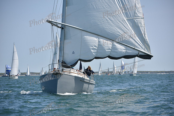 2019 Figawi_0455