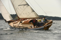 2016 Chester Race Week C_0869