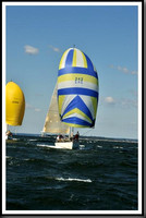 proof_2010_Vineyard_Race_0439