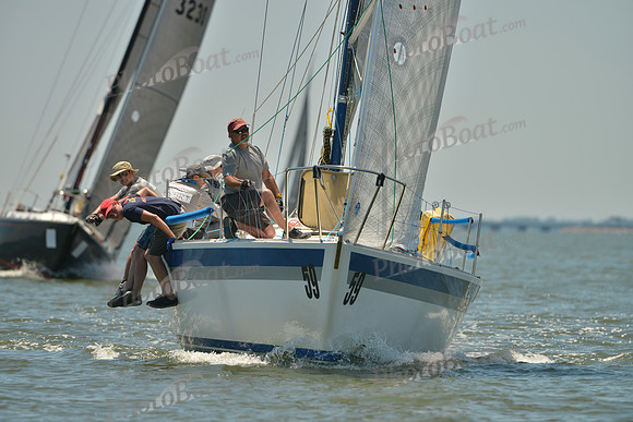 2017 Southern Bay Race Week A_1597
