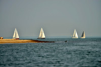 FLEET