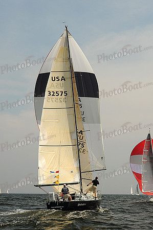2013 Vineyard Race A 668