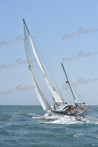 2022 Newport Bermuda_1212