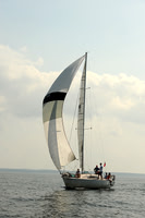 2013 Vineyard Race A 1950