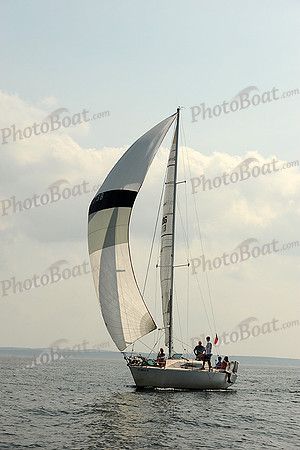 2013 Vineyard Race A 1950