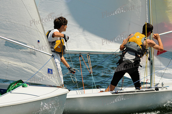 2011 Law Trophy 528